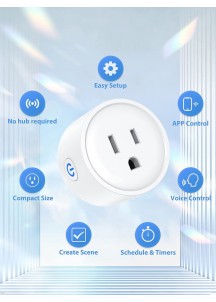 Smart Socket with Remote Control & Timer Function, 2.4GHz WiFi Onl